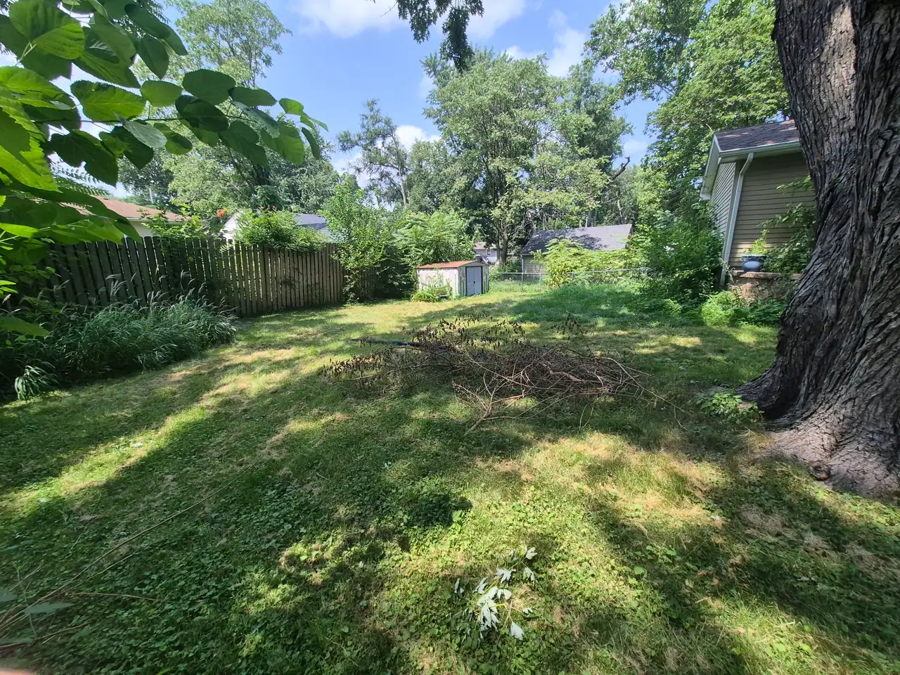 Pile of cut brush and tree limbs stacked in a backyard awaiting hauling
