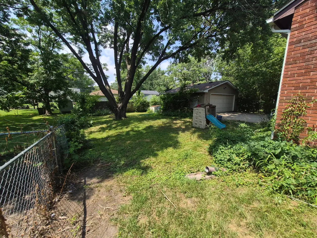 Thick weed overgrowth in a Des Moines backyard before clearing